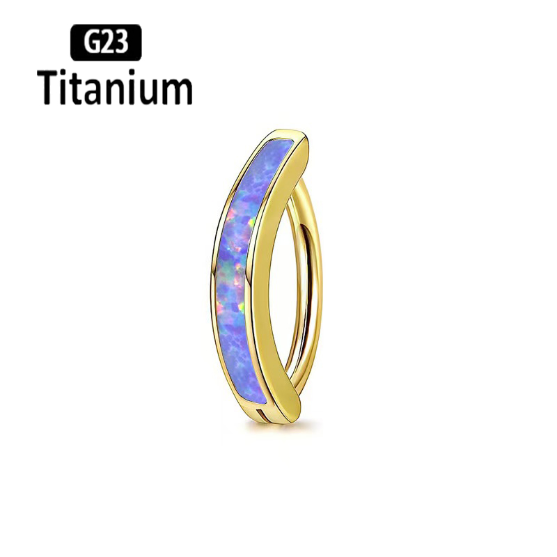 1PC 14G Implant Grade G23 Tita - Body Jewelry Implants のレビューと価格