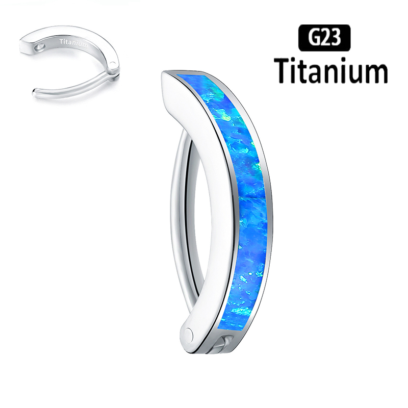 1PC 14G Implant Grade G23 Tita - Body Jewelry Implants のレビューと価格