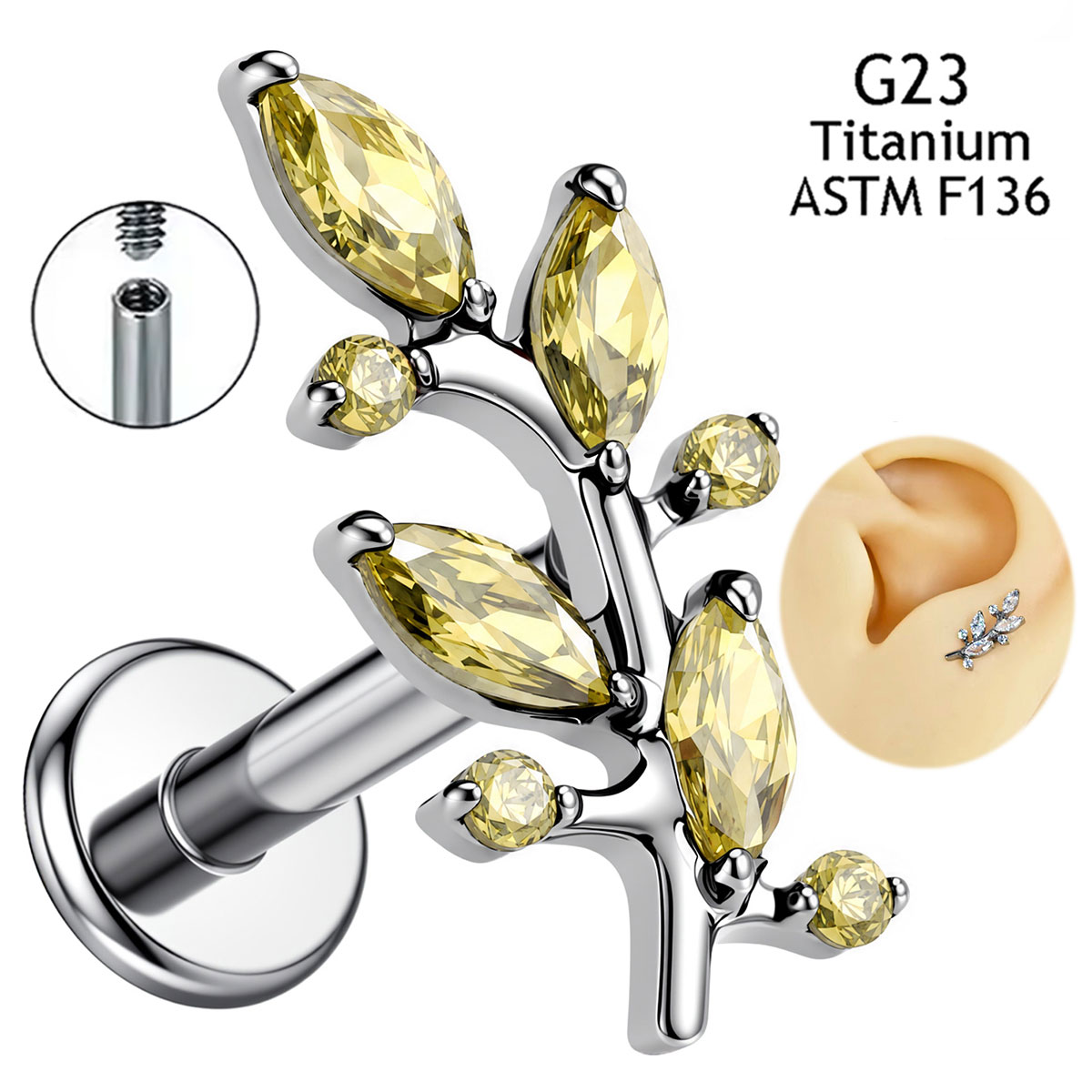 New Implant Grade ASTM F136 Ti - Body Jewelry Implants のレビューと価格