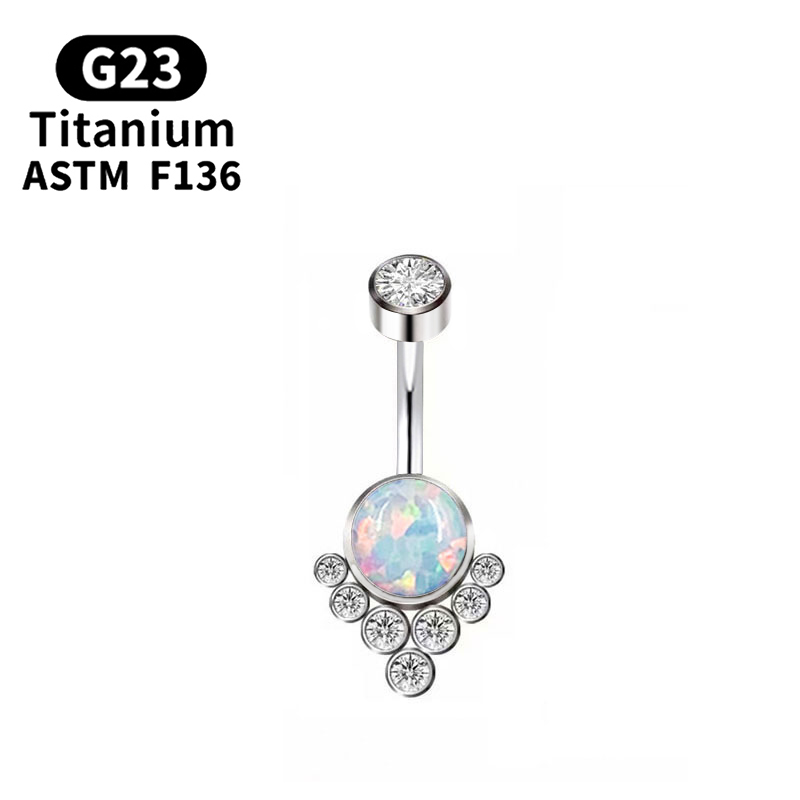 G23 Titanium Piercing Titanium - Body Jewelry Implants のレビューと価格