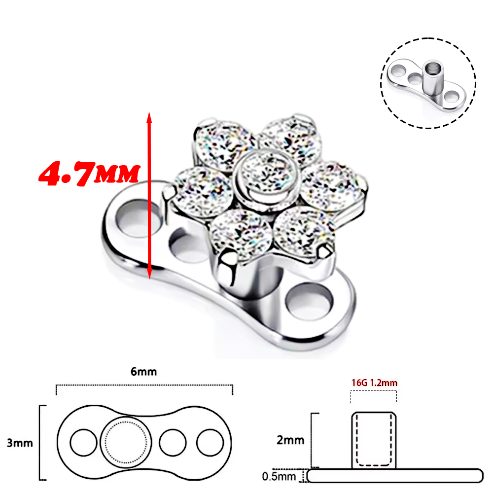 F136 Titanium Alloy High-Quali - Body Jewelry Implants のレビューと価格